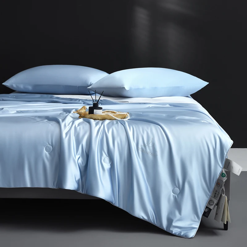 Pure Mulberry Silk Comforter for All Season, 100% Natural Long Strand Silk Filled Duvet, Lightweight Summer Quilt/Blanket/Duvets